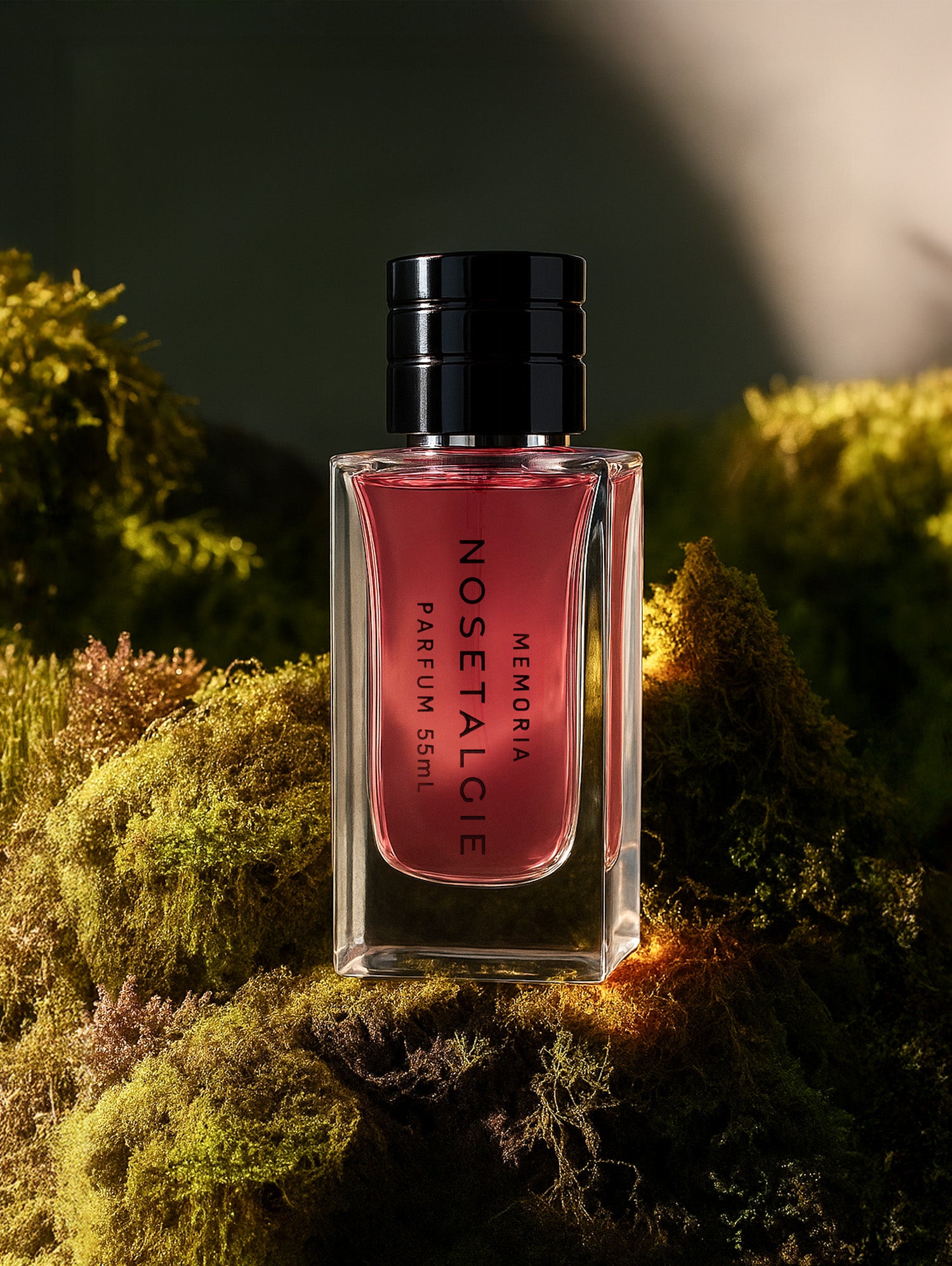 MEMORIA - amber-lantern twilight